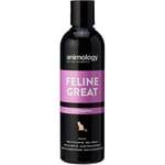 Animology Animology 貓用洗毛液 溫和配方 250ml 250ml 貓用 正面圖