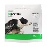 4CYTE 4CYTE canine 狗狗專用關節補充 100g 100g 正面圖