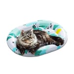 PETKIT PETKIT 夏季冰涼墊   正面圖