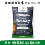 Go Go Native 愛爾蘭冠軍 頂級無穀物單一蛋白低敏嚴選狗糧 成犬鯡魚 50g 中小型犬用 50g 犬用 正面圖