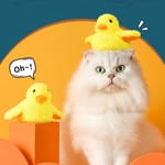 HelloDOG/其他/34807