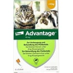 Advantage for Cats 0-4kg Small 4p pet shop