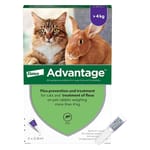 Advantage Advantage for Cats 4-8kg Large 4p 8kg  正面圖