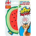 BAM! BAM! Catnip 貓玩具 薄荷西瓜   正面圖