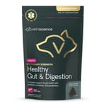 VetriScience VetriScience 腸道健康 犬貓通用 60粒/袋 60粒  正面圖