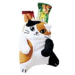 日本柔軟貓咪粉紅肉球斜背包 日本柔軟貓咪粉紅肉球斜背包 三色貓   正面圖
