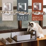 Pettellyava Pettellyava Mystery Box 貓抓板 盲盒 正面圖