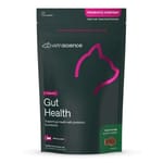 VetriScience Gut Health for Cats 60 Soft Chews(Duck Flavored) pet shop
