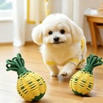 狗玩具 特大菠萝跳跳球 狗玩具 其他 寵物用品速遞
