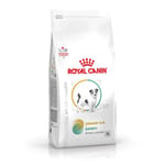Royal Canin 處方糧 法國皇家狗糧 小型犬泌尿道S/O+飽足感處方 3kg (4099900) 貓糧 貓乾糧 Royal Canin 處方糧 寵物用品速遞