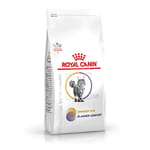 Royal Canin 處方糧 法國皇家貓糧 成貓泌尿道S/O+鎮靜膀胱處方 4kg (4048400) 貓糧 貓乾糧 Royal Canin 處方糧 寵物用品速遞