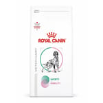 Royal Canin 處方糧 Royal Canin 處方糧 法國皇家狗糧 成犬飽足感+關節處方 3.5kg (4111300)