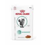 Royal Canin 處方糧 法國皇家 貓濕糧 成貓糖尿病控糖處方(肉汁) 85g (4223200) 貓糧 貓乾糧 Royal Canin 處方糧 寵物用品速遞