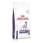 Royal Canin 處方糧 法國皇家狗糧 DENTAL 中大型犬牙齒護理健康管理處方 6kg (3093000) 狗糧 Royal Canin 處方糧 寵物用品速遞