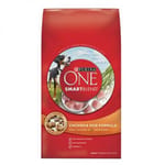 Purina Purina ONE 成犬雞肉及飯配方 Chicken & Rice 4lb 4lb 正面圖