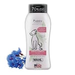 WAHL WAHL 洗髮水 24oz 24oz 犬用 正面圖