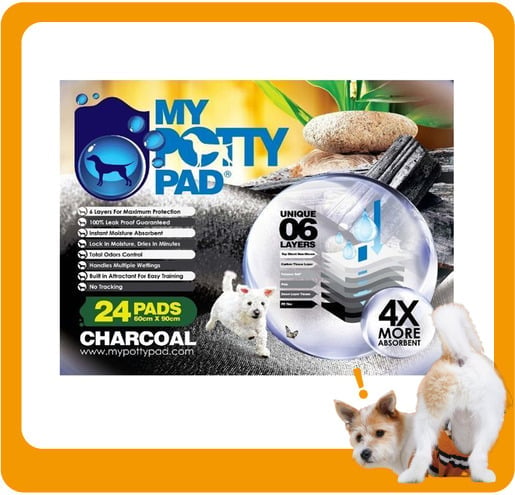 My My Potty Pad 活性炭殿堂吸 寵物尿墊 狗尿墊 狗尿片 MPPC024 [60x90 L碼 24PADS]   正面圖