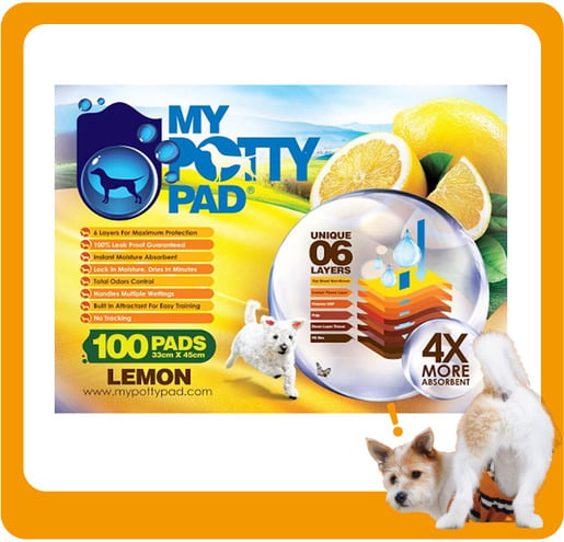 My My Potty Pad 殿堂級 寵物尿墊 狗尿墊 狗尿片 檸檬味 MPPL100 [33x45 S碼 100PADS]   正面圖