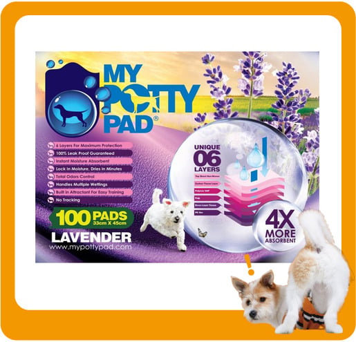 My My Potty Pad 殿堂吸 寵物尿墊 狗尿墊 狗尿片 薰衣草味 MPPV100 [33x45 S碼 100PADS]   正面圖