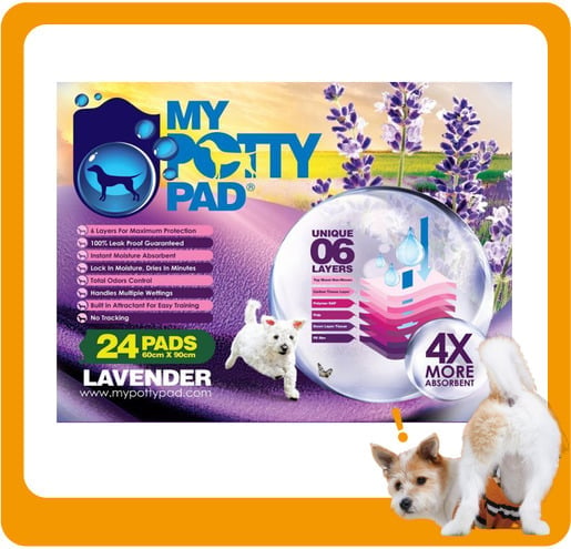 My My Potty Pad 殿堂吸 寵物尿墊 狗尿墊 狗尿片 薰衣草味 MPPV024 [60x90 L碼 24PADS]   正面圖