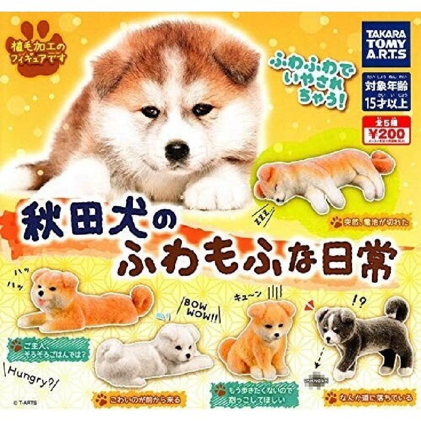 日本直送 日本直送 狗公仔擺設 秋田犬的蓬鬆日常 一套五隻 - 清貨優惠 正面圖
