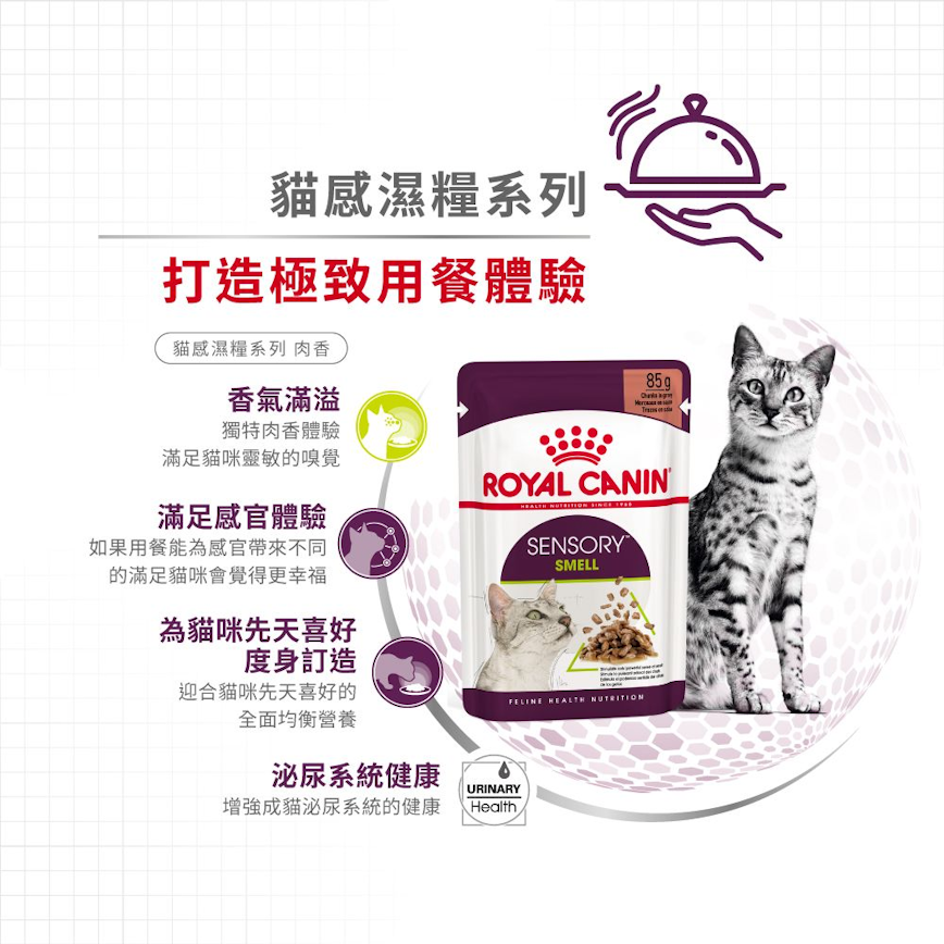 Royal Canin Royal Canin 法國皇家 貓濕糧 貓感系列 肉香營養主食濕糧  SMELL 85g 85g  側面圖