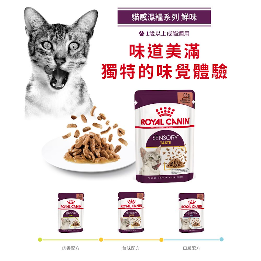 Royal Canin Royal Canin 法國皇家 貓濕糧 貓感系列 鮮味營養主食濕糧  TASTE 85g 85g  正面圖