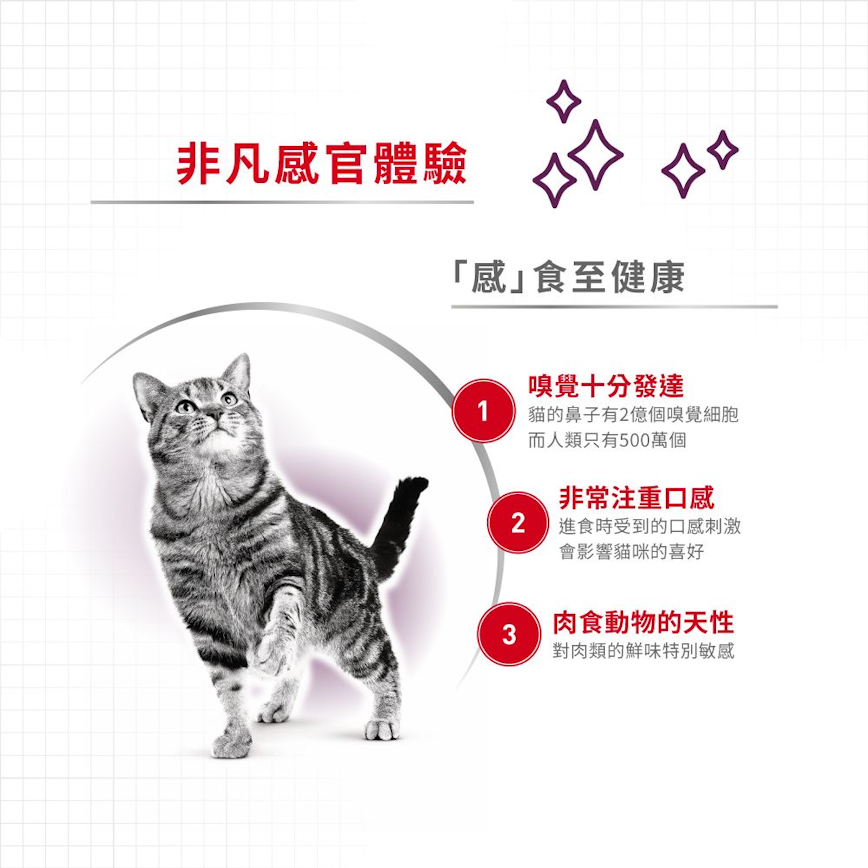 Royal Canin Royal Canin 法國皇家 貓濕糧 貓感系列 鮮味營養主食濕糧  TASTE 85g 85g  背面圖