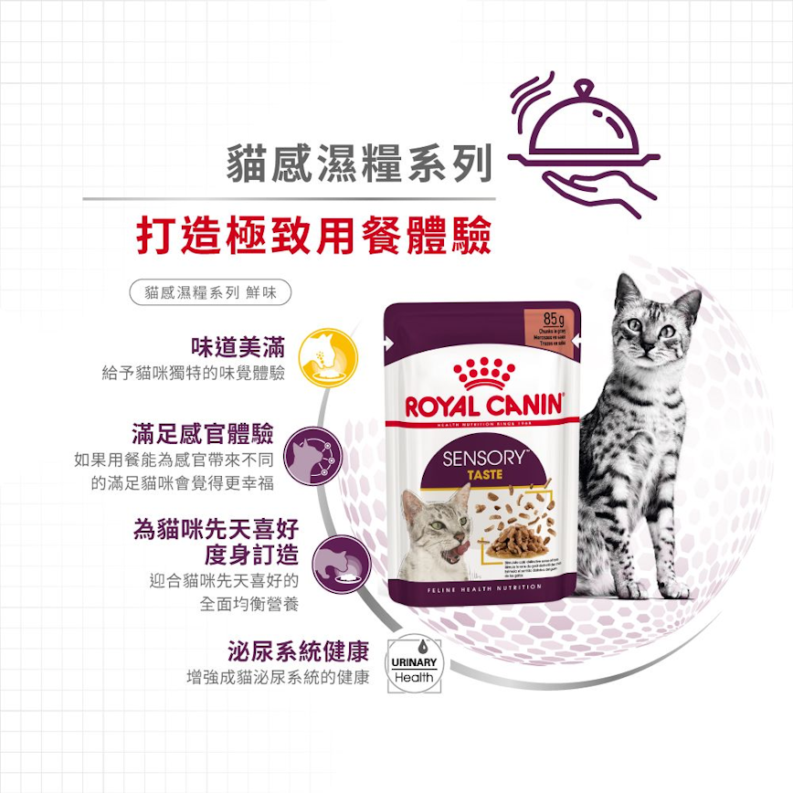 Royal Canin Royal Canin 法國皇家 貓濕糧 貓感系列 鮮味營養主食濕糧  TASTE 85g 85g  側面圖