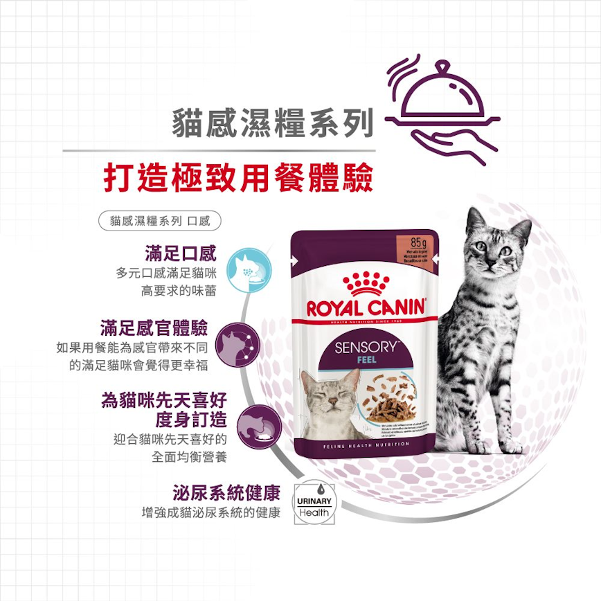 Royal Canin Royal Canin 法國皇家 貓濕糧 貓感系列 口感營養主食濕糧  FEEL 85g 85g  側面圖