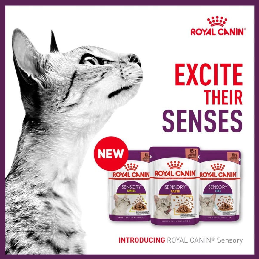 Royal Canin Royal Canin 法國皇家 貓濕糧 貓感系列 主食濕糧  SENSORY 混合裝 85g x 12 85g  背面圖