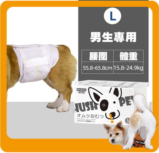 HUSHPET HUSHPET 男生狗狗專用 寵物尿墊狗尿墊狗尿片 紙尿褲紙尿片 黑 [腰圍56-66 L碼 12枚]   正面圖