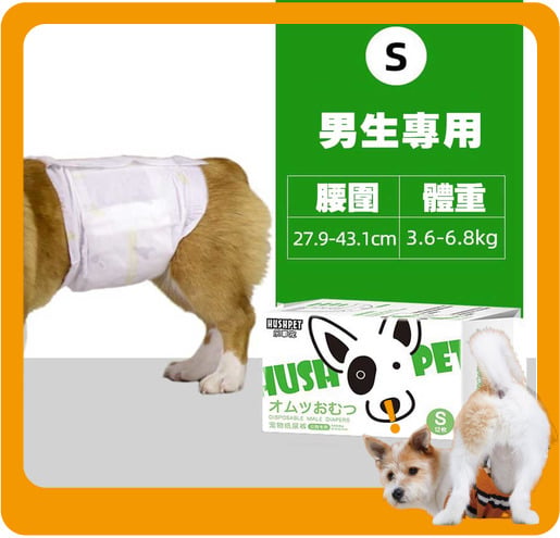 HUSHPET HUSHPET 男生狗狗專用 寵物尿墊狗尿墊狗尿片 紙尿褲紙尿片 綠 [腰圍28-48 S碼 12枚]   正面圖