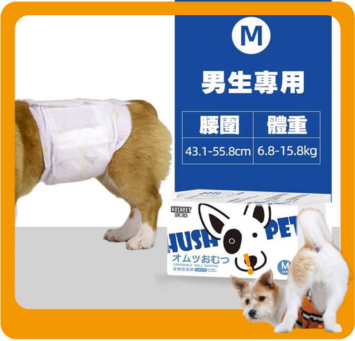 HUSHPET HUSHPET 男生狗狗專用 寵物尿墊狗尿墊狗尿片 紙尿褲紙尿片 藍 [腰圍43-56 M碼 12枚]   正面圖