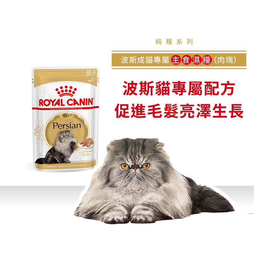 Royal Canin Royal Canin 法國皇家 貓濕糧 波斯成貓專屬主食濕糧  85g 85g  正面圖