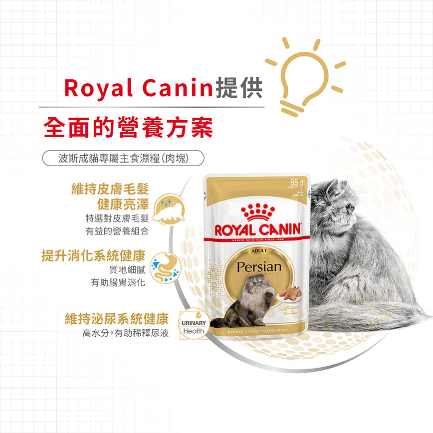 Royal Canin Royal Canin 法國皇家 貓濕糧 波斯成貓專屬主食濕糧  85g 85g  側面圖