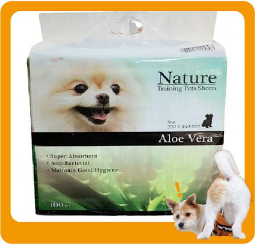 Nature Nature 寵物尿墊 狗尿墊 狗尿片 蘆薈香味 [33x45 1.5尺 100枚]   正面圖