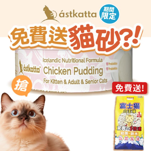 Astkatta Astkatta 冰島罐 貓罐頭 布甸罐 純雞肉 40g 40g 正面圖