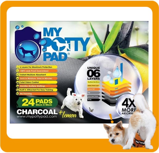 My My Potty Pad 活性炭殿堂吸 寵物尿墊 狗尿墊 狗尿片 檸檬味 [60x90 L碼 24PADS]   正面圖