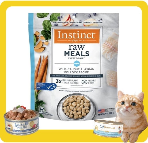 Instinct Instinct 貓糧 本能 貓糧 無穀物凍乾生肉主食糧 狹鱈魚 9oz 9oz 正面圖