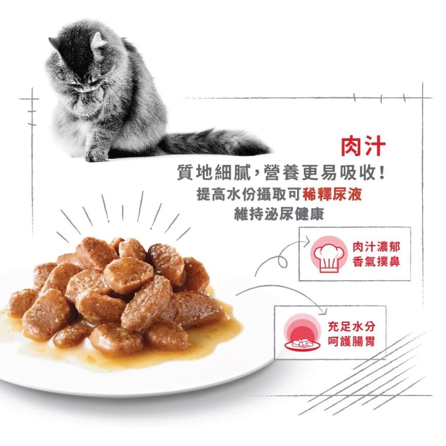 Royal Canin Royal Canin 法國皇家 貓濕糧 成貓去毛球加護主食濕糧 85g 85g 特寫圖