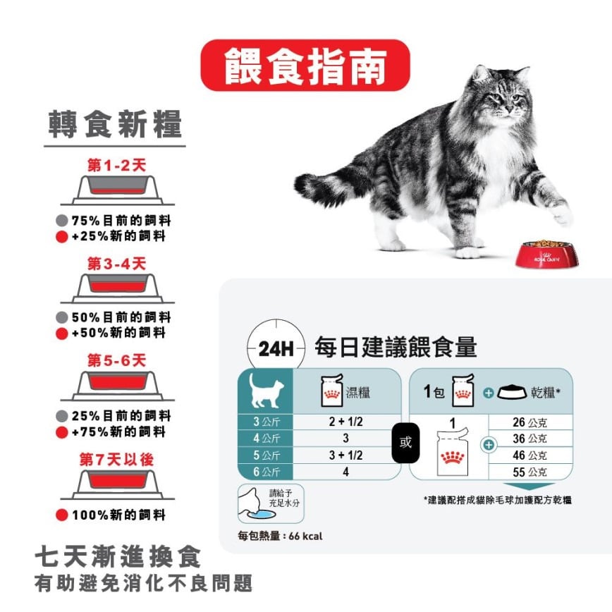 Royal Canin Royal Canin 法國皇家 貓濕糧 成貓去毛球加護主食濕糧 85g 85g 正面圖