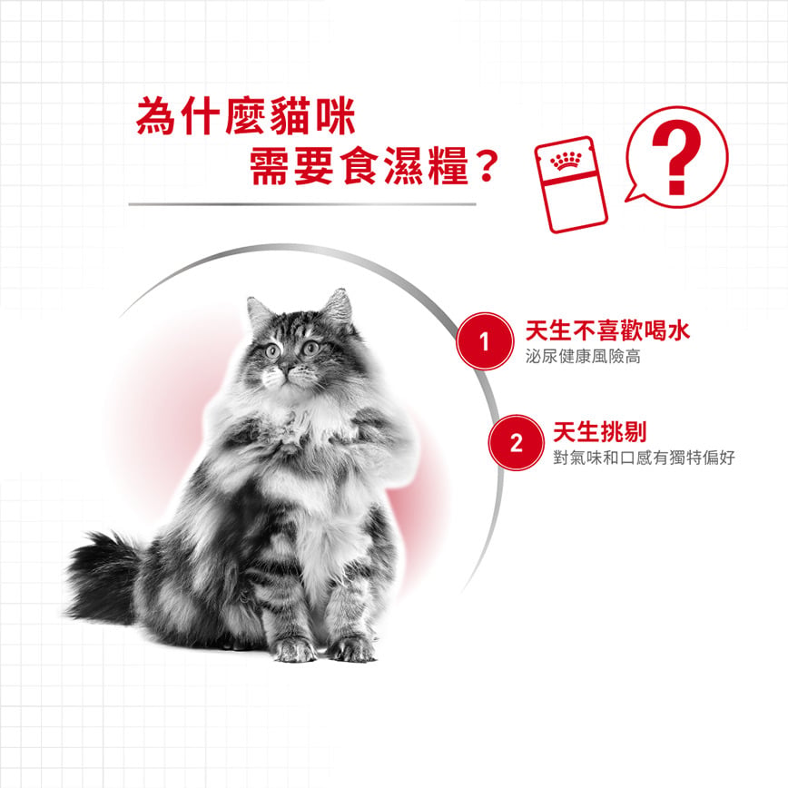 Royal Canin Royal Canin 法國皇家 貓濕糧 成貓理想體態營養主食濕糧  85g 85g  背面圖
