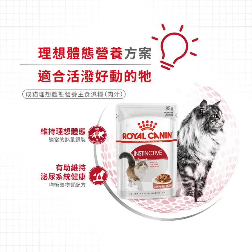 Royal Canin Royal Canin 法國皇家 貓濕糧 成貓理想體態營養主食濕糧  85g 85g  側面圖