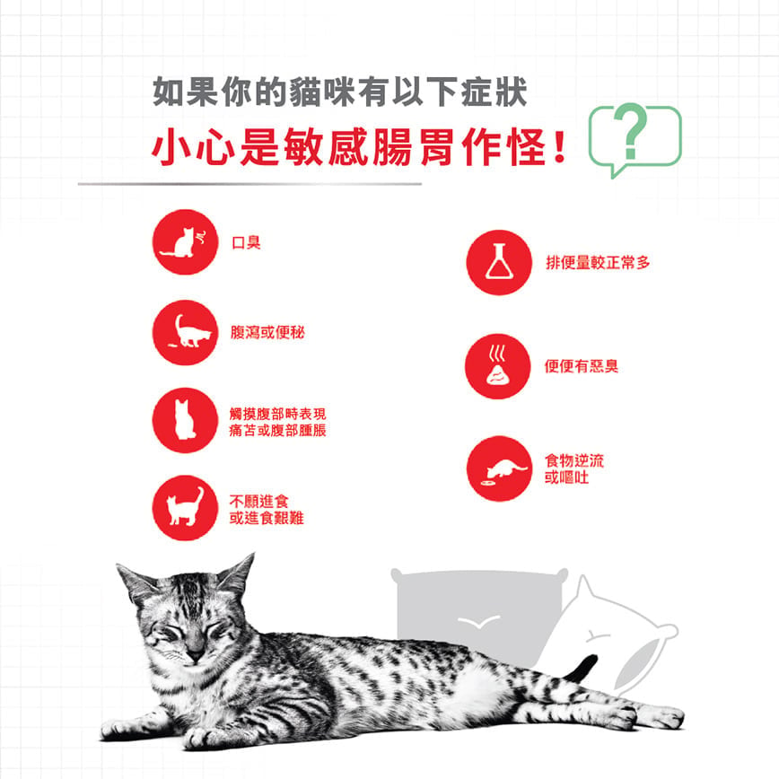 Royal Canin Royal Canin 法國皇家 貓濕糧 成貓消化道加護主食濕糧  85g 3104800 85g  背面圖