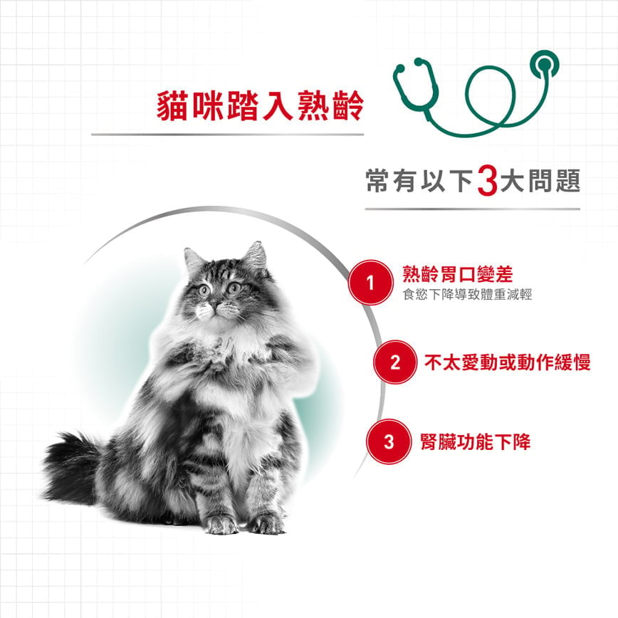 Royal Canin Royal Canin 法國皇家 貓濕糧 成貓7+理想體態營養主食濕糧  85g 85g  背面圖