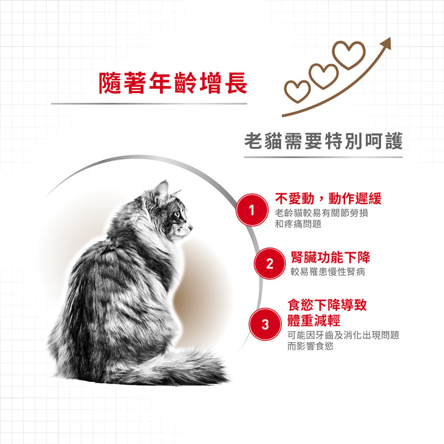 Royal Canin Royal Canin 法國皇家 貓濕糧 老年貓12+營養主食濕糧  85g 85g  背面圖