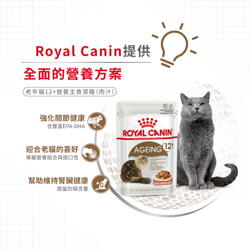 Royal Canin Royal Canin 法國皇家 貓濕糧 老年貓12+營養主食濕糧  85g 85g  側面圖