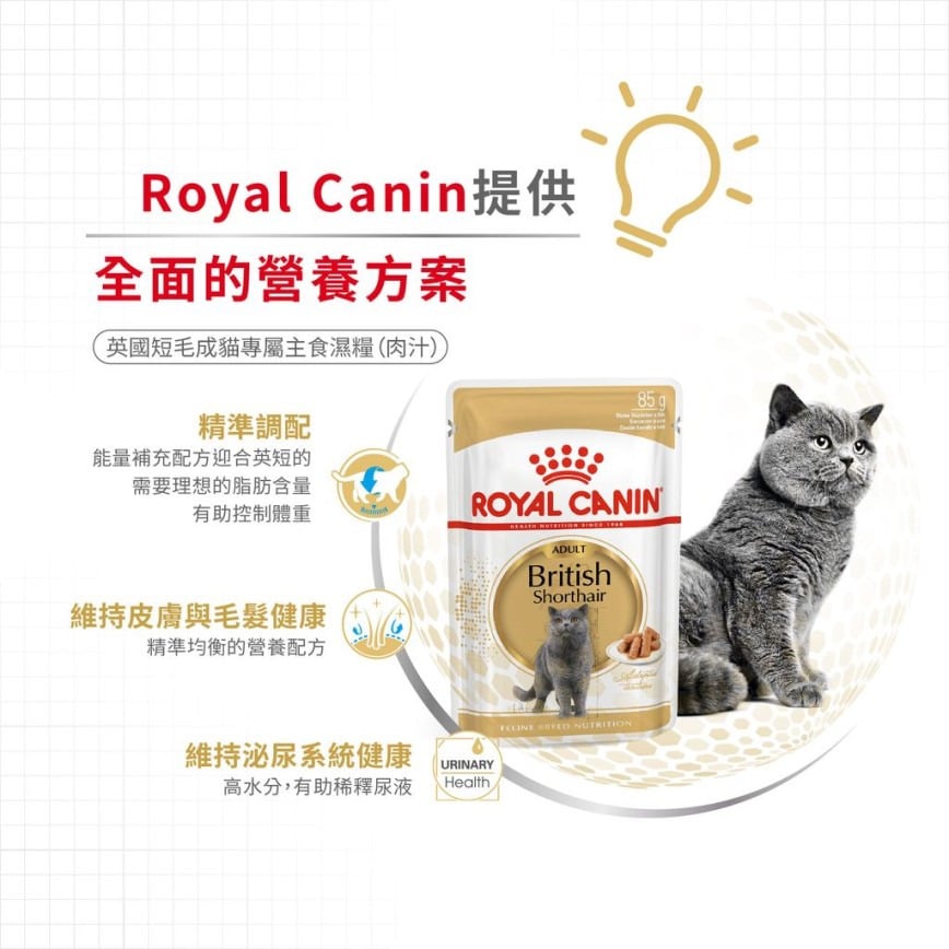 Royal Canin Royal Canin 法國皇家 貓濕糧 英國短毛成貓專屬主食濕糧  85g 85g  側面圖