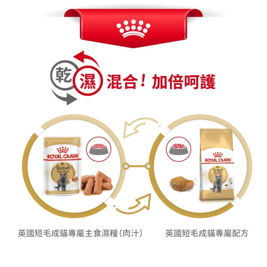 Royal Canin Royal Canin 法國皇家 貓濕糧 英國短毛成貓專屬主食濕糧  85g 85g  包裝圖